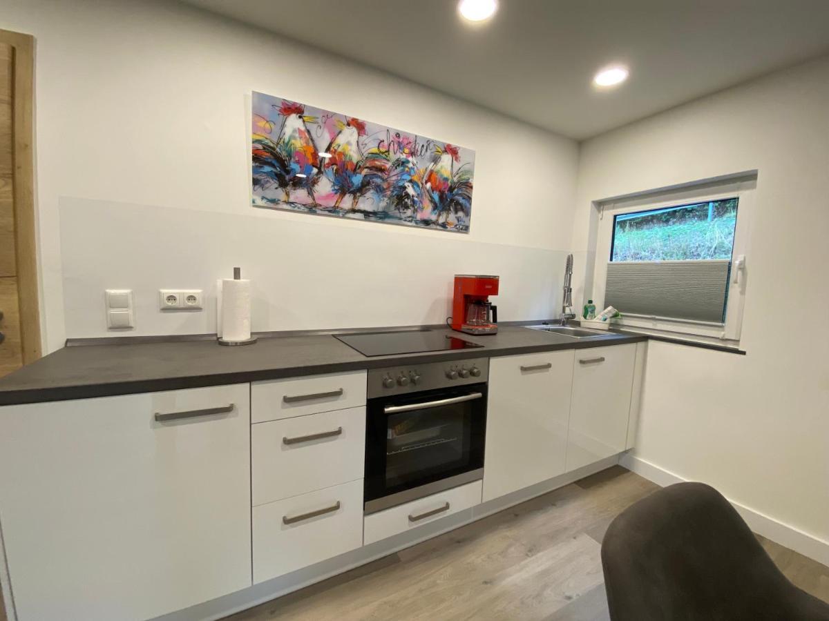 Appartamento Haus Am Iberg 4 Willingen  Esterno foto